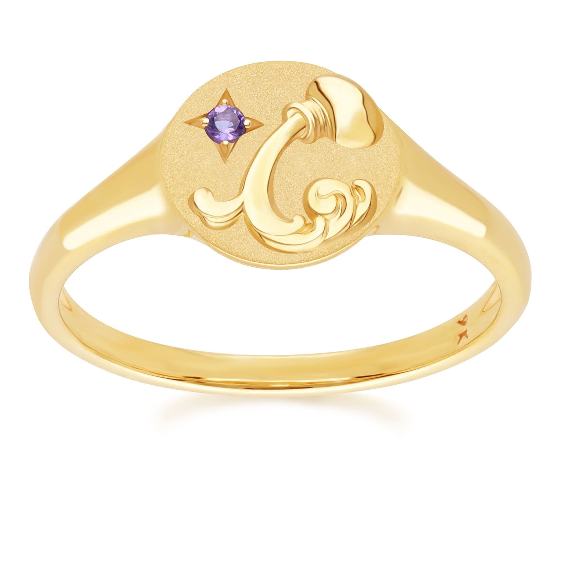 "Zodiac Amethyst Aquarius Signet Ring In 9ct Yellow GoldFront  135R2080019